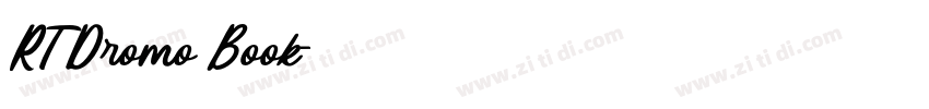 RT Dromo Book字体转换